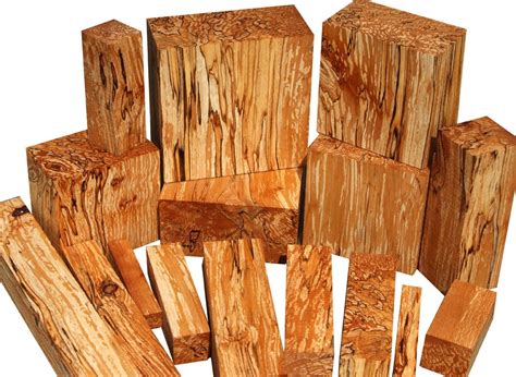 Alder – Cook Woods