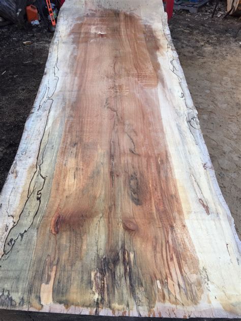 Sycamore — NYCitySlab