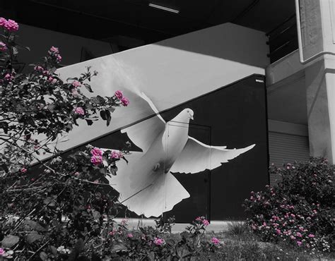 NOZO © on Behance