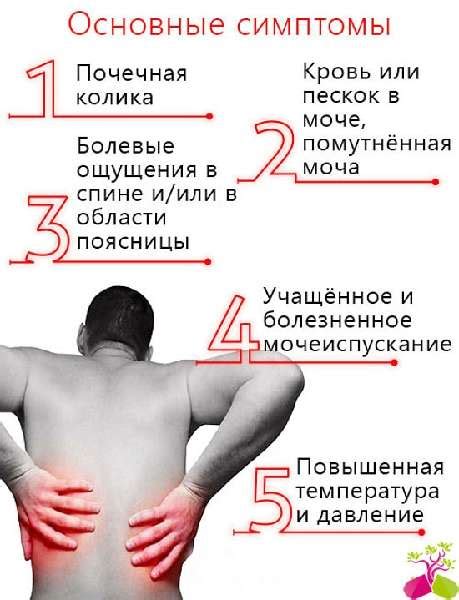 Как болят почки — Симптомы у женщин и методы лечения, причины, советы ...