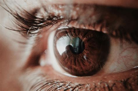 Sight Photos, Download The BEST Free Sight Stock Photos & HD Images