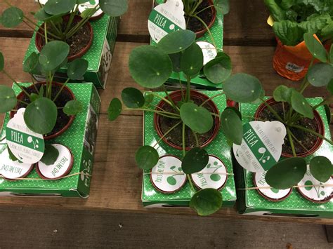 home depot shorewood il 6