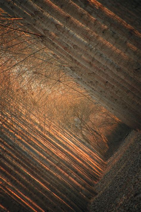 alignment nature images pixabay