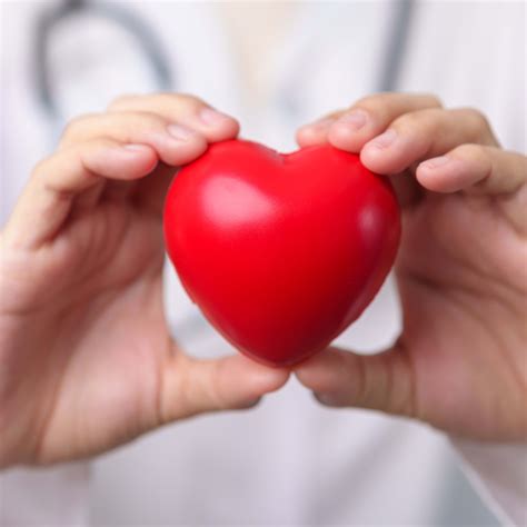 New Details Uncovered in Anne Burrell's Shocking Death Investigation