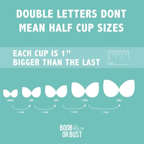 Bra Cup Size Comparison Pictures