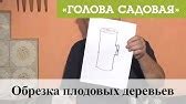 Голова садовая - Самое необходимое для растений к дачному сезону - YouTube