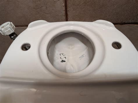 Toilet Leaks When Flushed Between Tank And Bowl at Angelica Mullins blog