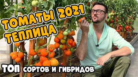Лучшие томаты для теплицы 2021 - YouTube