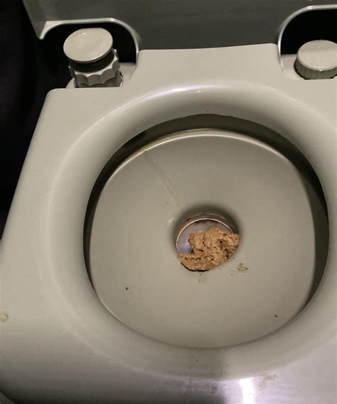 Morning poop today : r/poop