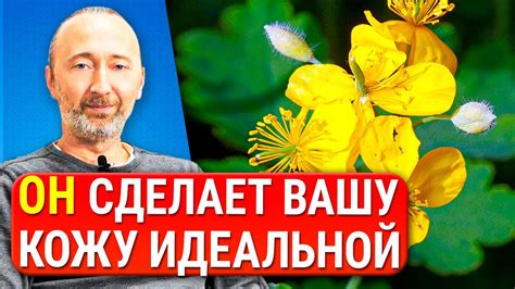 ОН лечит любые кожные болезни: папилломы, бородавки, грибок, герпес ...