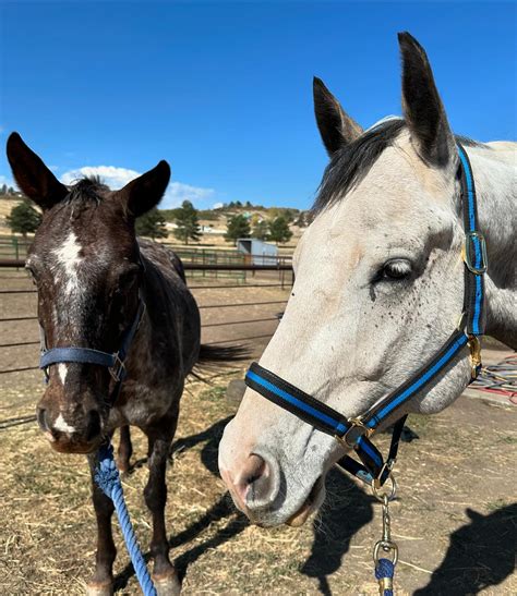 Jessi Summer (@highpocketsjessi) • Instagram photos and videos