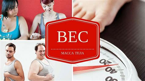 Масса тела человека. Вес и его особенности - YouTube