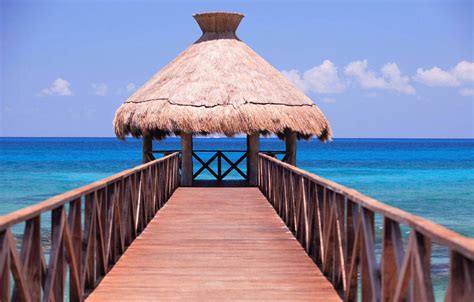 palapa  vidanta traveler