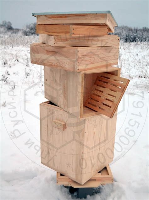 Наше пчеловодство Bee Keeping, Bee Hive, Honey, Bee Hives, Beekeeping ...