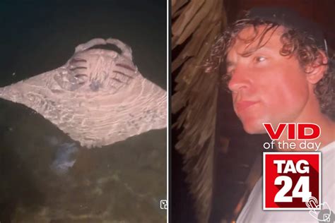 Viral Video of the Day for June 11, 2024: Man catches sea creature ...
