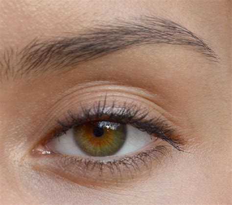 portrait tutorial eye reference  vectorprofessor  deviantart