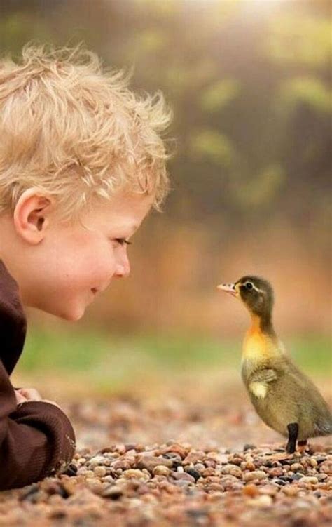 Уши, лапы, хвост | Cute animals, Animals for kids, Animals beautiful