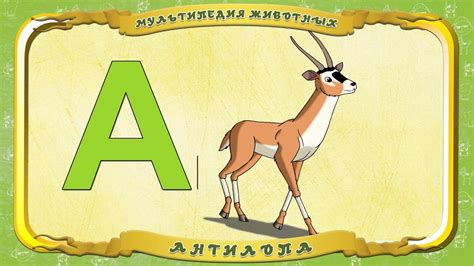Антилопа - YouTube