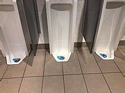 Category:Urinals - Wikimedia Commons