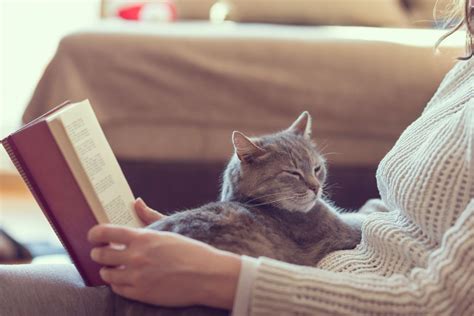 Топ-10 недорогих книжных магазинов Москвы
