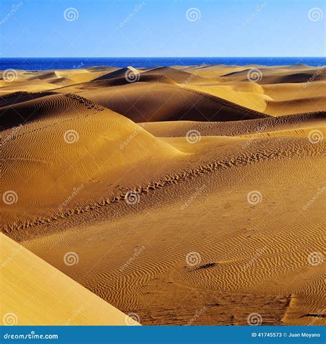 Natural Reserve of Dunes of Maspalomas, in Gran Canaria, Spain Stock