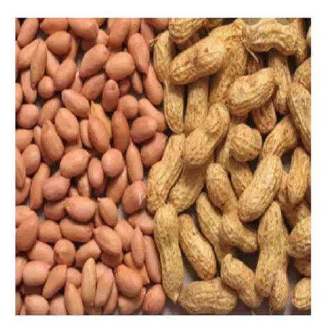 ground nuts doxakhane company limited