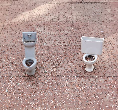 How to Toilet Train Your Puppy with Patience - Forever Puppy