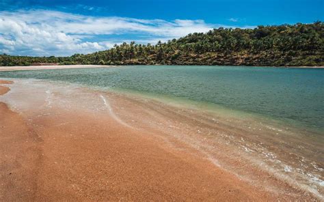 galgibaga beach cancona south goa olive ridley turtle beach holidify
