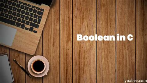 boolean   mastering true  false   programming