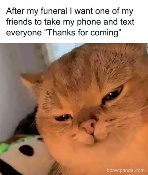 50 funny instagram memes that might make you chuckle – Artofit