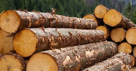jaya tiasa holdings berhad klsejtiasa stock price news analysis