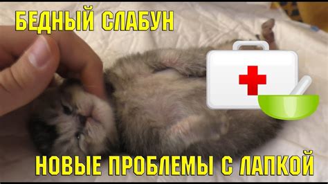 Котёнок борется за жизнь | спасение котёнка | больница - YouTube