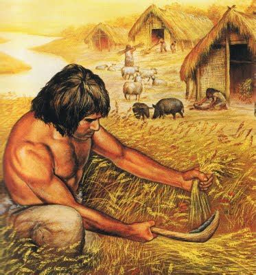 Técnica Antiga De Agricultura