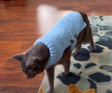 Crochet Dog Sweater Patterns For Canine's Wardrobe - DIYS