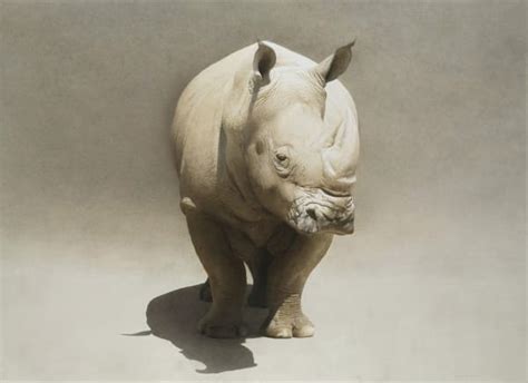 Marzio Tamer - Works | Jonathan Cooper