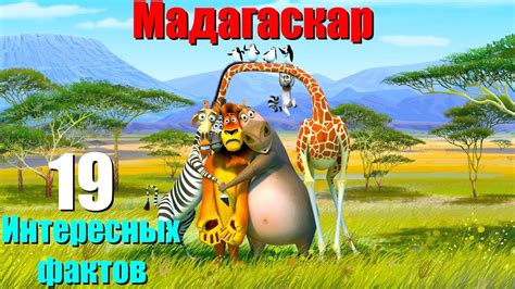 Интересные факты из мультфильма: Мадагаскар (2005) год. - YouTube