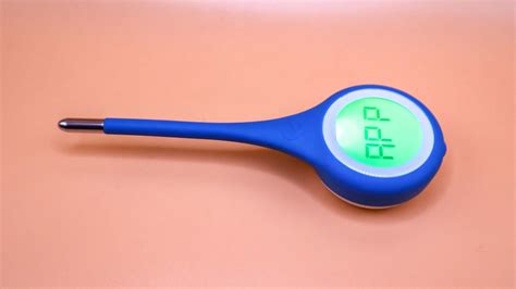 Best thermometers in 2024: tested and rated | Tom's Guide