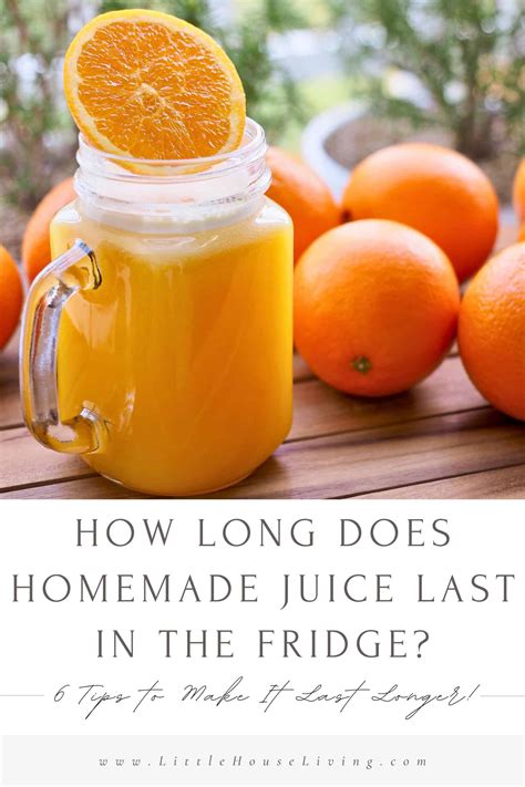 How Long Does Juice from a Juicer Last - Dryer Enthusiast
