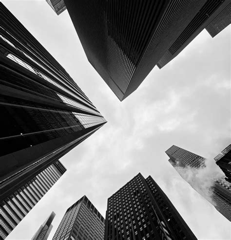 Top Performing High Short Interest Stocks - Benzinga