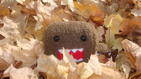 domo wide high definition wallpaper  domo images