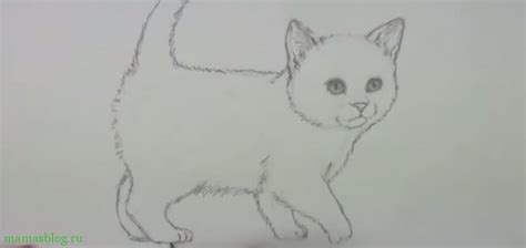 Как нарисовать котенка поэтапно