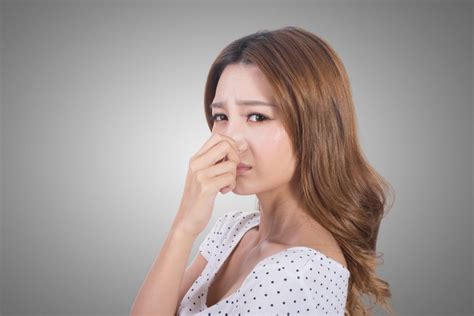 Why Does My House Make Cracking Noises At Night - The Juiciest