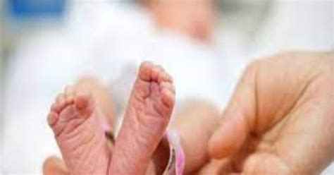 क्यों छुट्टियों में ही ज्यादातर बेबी होते हैं कंसीव? वैज्ञानिकों ने