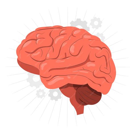 Brain Clipart Cartoon