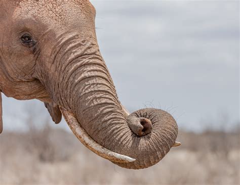 Seven Scientific Discoveries From 2022 That May Lead to New Inventions