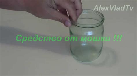 защита от мошки - народное средство - YouTube