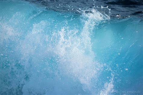 farben blau coralys naturfotografie reisen von cora huebner