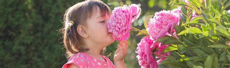 fragrant la gi tim hieu nghia vi du cau va cach su dung tu fragrant