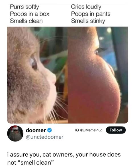 Animal Humor | Thoughts? More memes @AnimalsHumors | Instagram