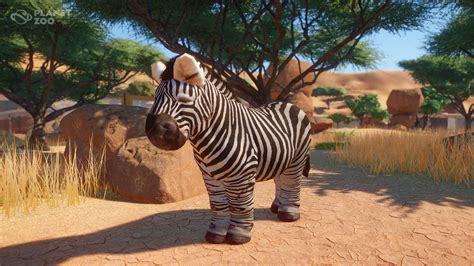 planet zoos animals  super chonky  newly unlocked easter eggs